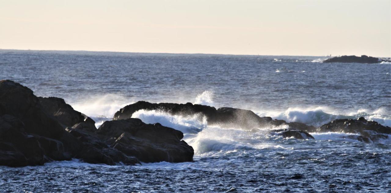 Nyksund, Huset Pa Skaltoftaヴィラ エクステリア 写真
